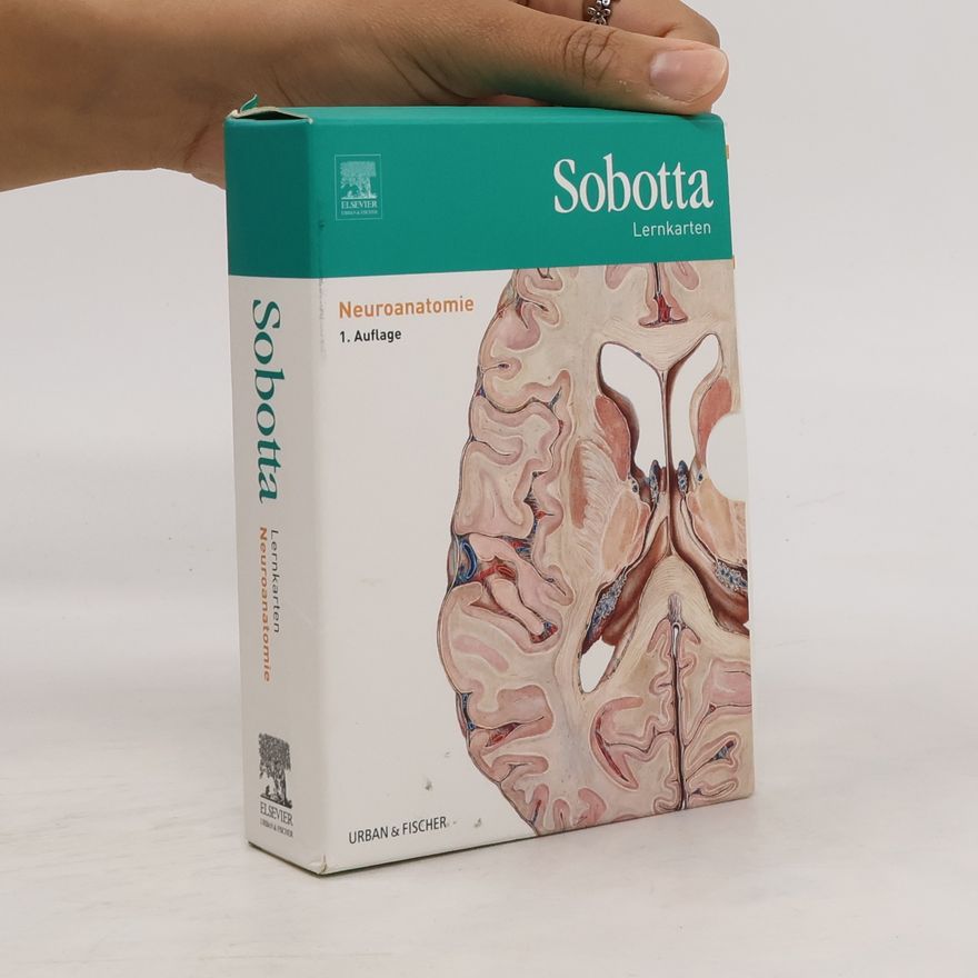 Lars Bräuer Sobotta Lernkarten Neuroanatomie