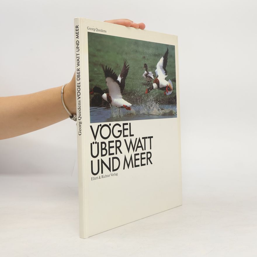 Georg Quedens Vögel über Watt und Meer