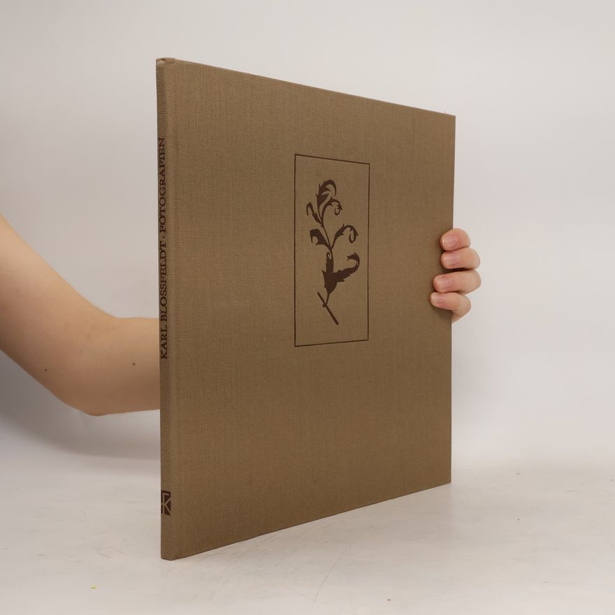 Karl Blossfeldt Fotografien zwischen Natur und Kunst