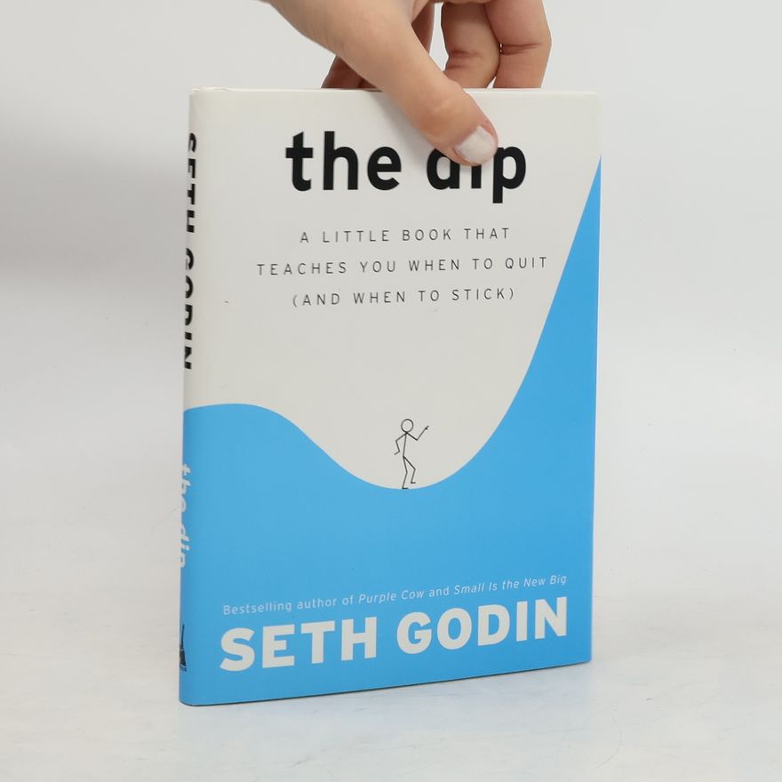 Seth Godin The Dip