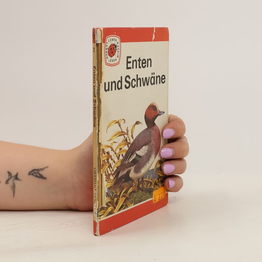 E. Schwarz Enten und Schwäne 2