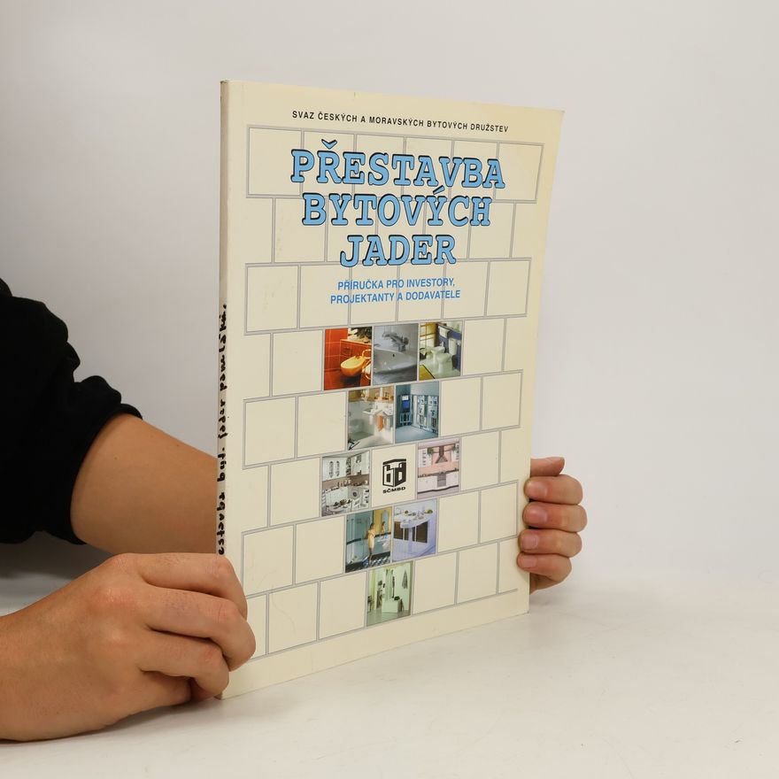 Kolektiv autorů Přestavba bytových jader