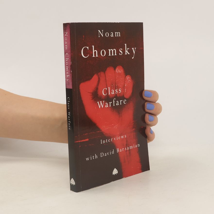 Noam Chomsky Class Warfare