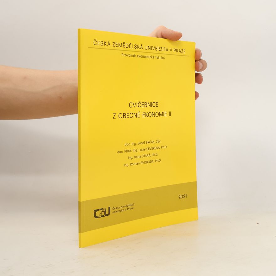 Kolektiv autorů Cvičebnice z obecné ekonomie II