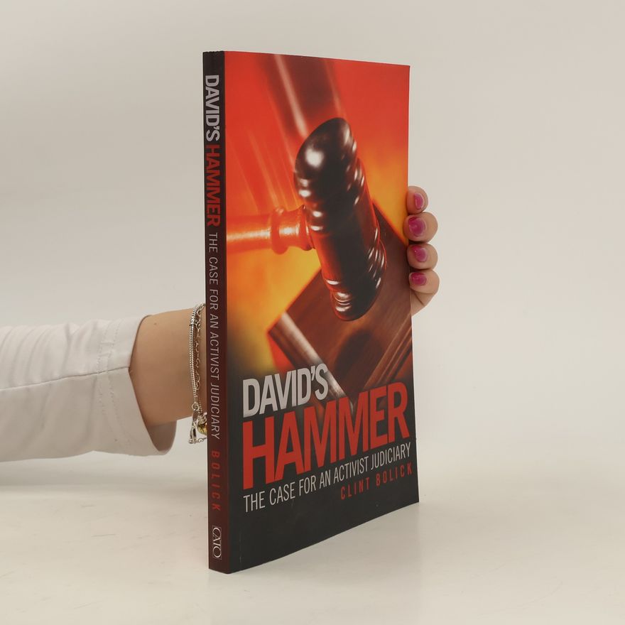 Clint Bolick David's hammer : The Case for an Activist Judiciary