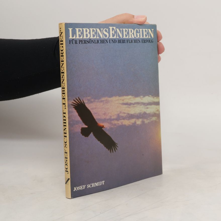 Josef Schmitz Lebensenergien für persönlichen und beruflichen Erfolg 1