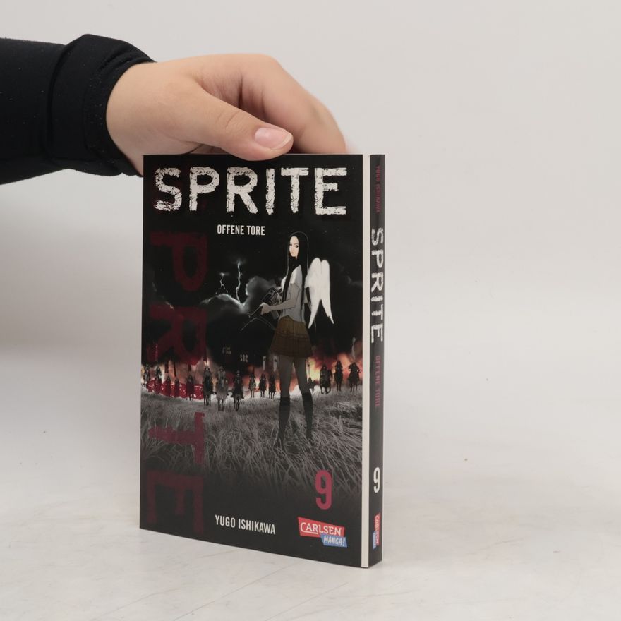Yūgo Ishikawa Sprite 9. Offene Tore