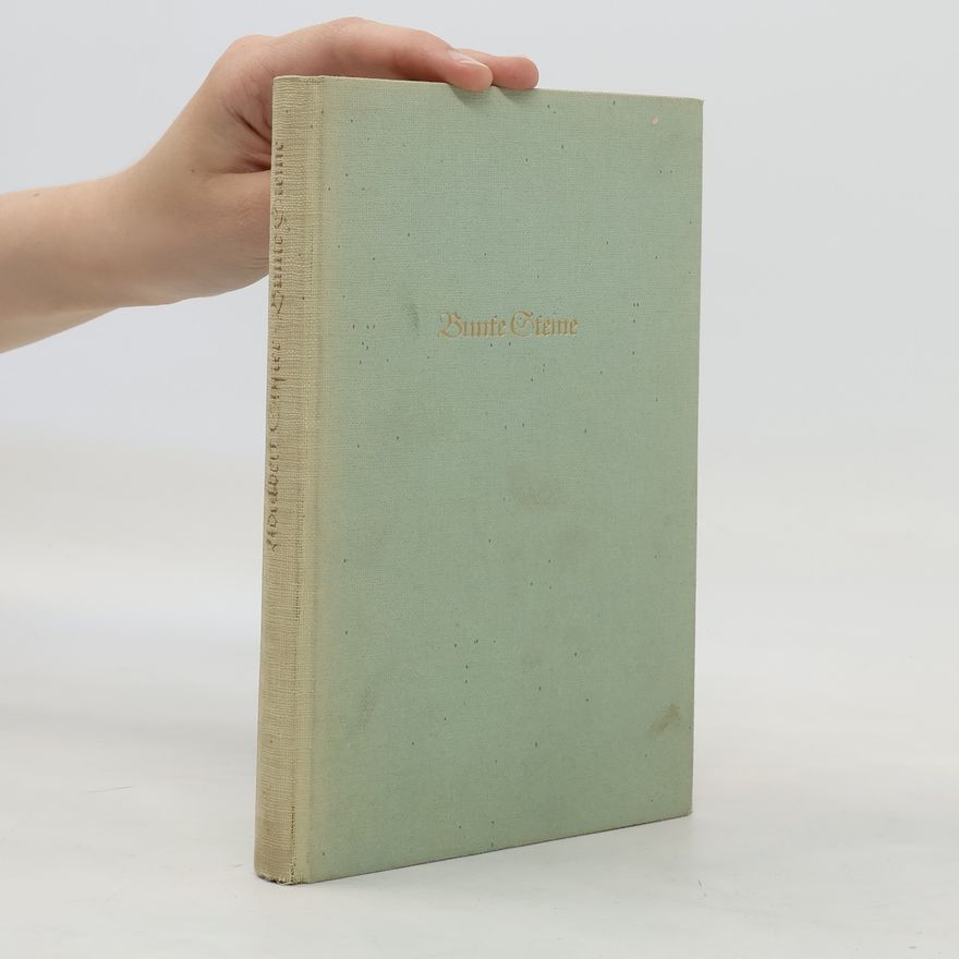 Adalbert Stifter Bunte Steine
