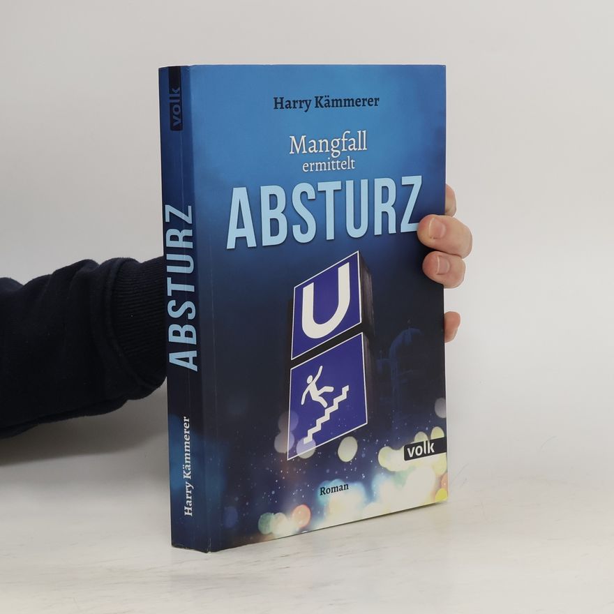 Harry Kämmerer Absturz