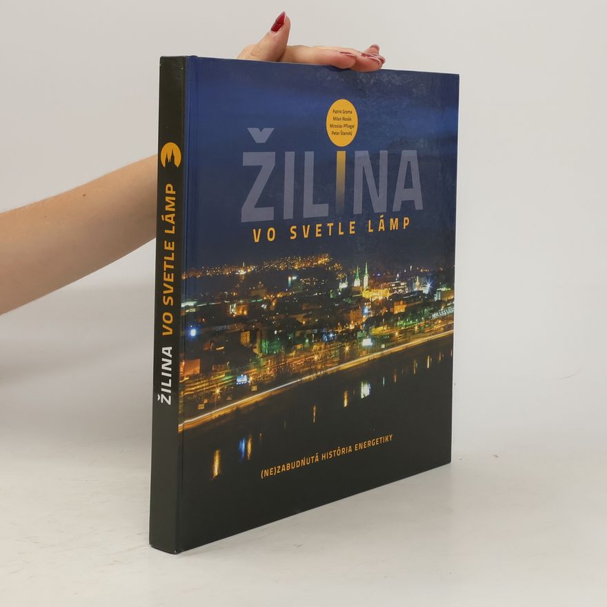 Georg Žilina Žilina vo svetle lámp