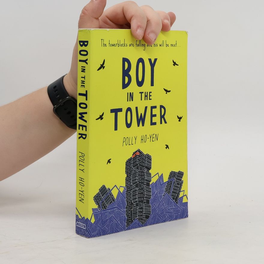 Polly Ho-Yen Boy In The Tower
