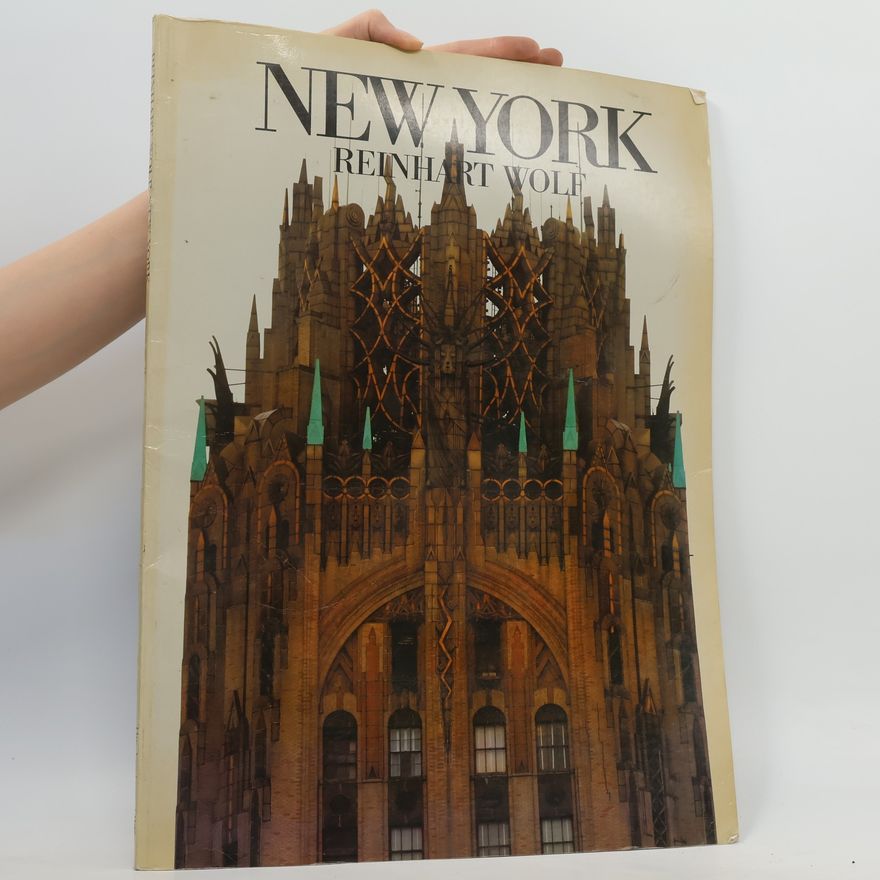 Kolektiv autorů New York