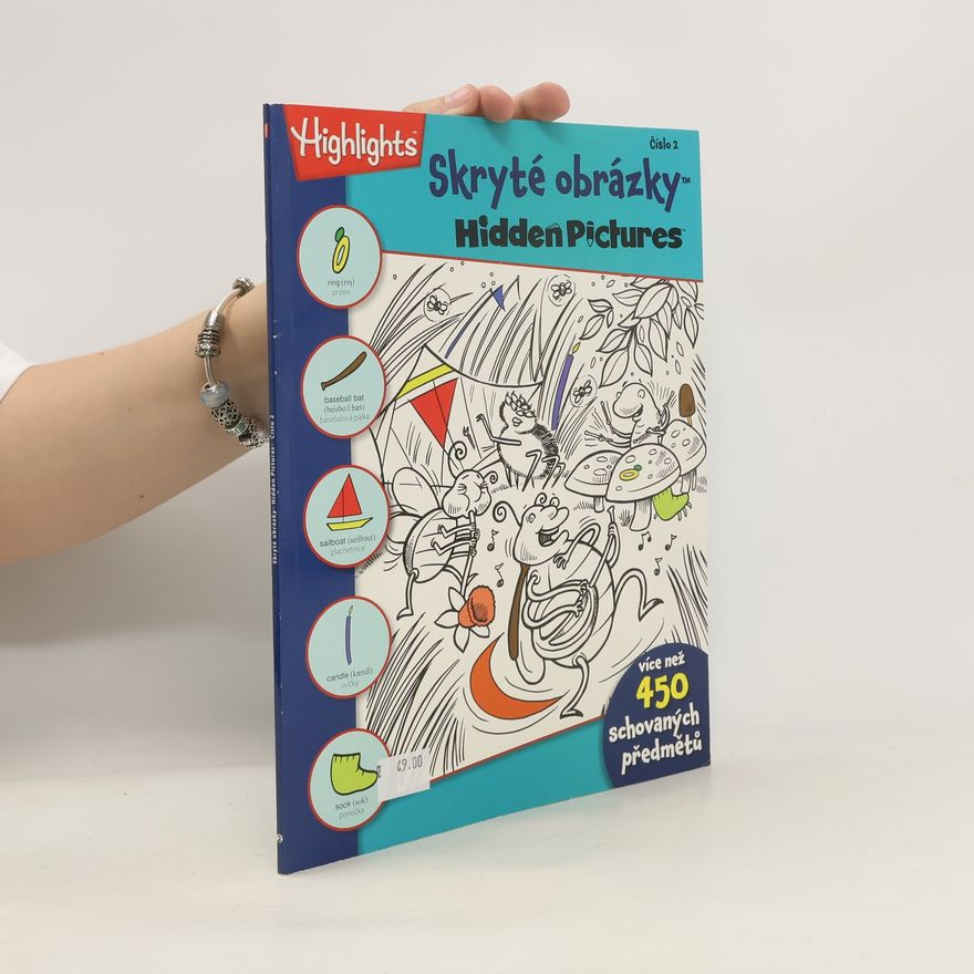 Autorenkollektiv Skryté obrázky / Hidden Pictures 2