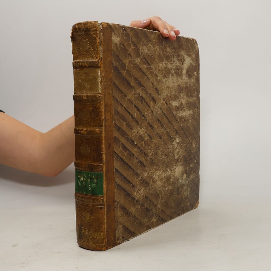 Autorenkollektiv Nouveau dictionnaire complet a l'usage des Allemands et des Français II. H-Z