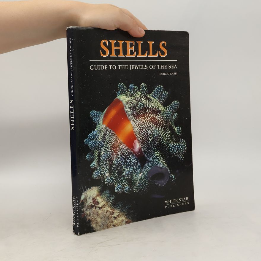 Giorgio Gabbi Shells