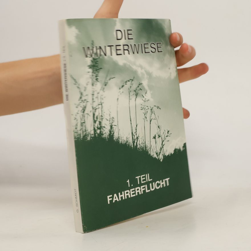 Gerfried Schmidt  Die Winterwiese 1. Fahrerflucht