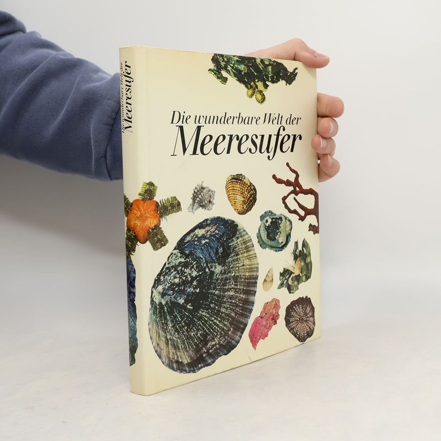 Piet Potter Die wunderbare Welt der Meeresufer