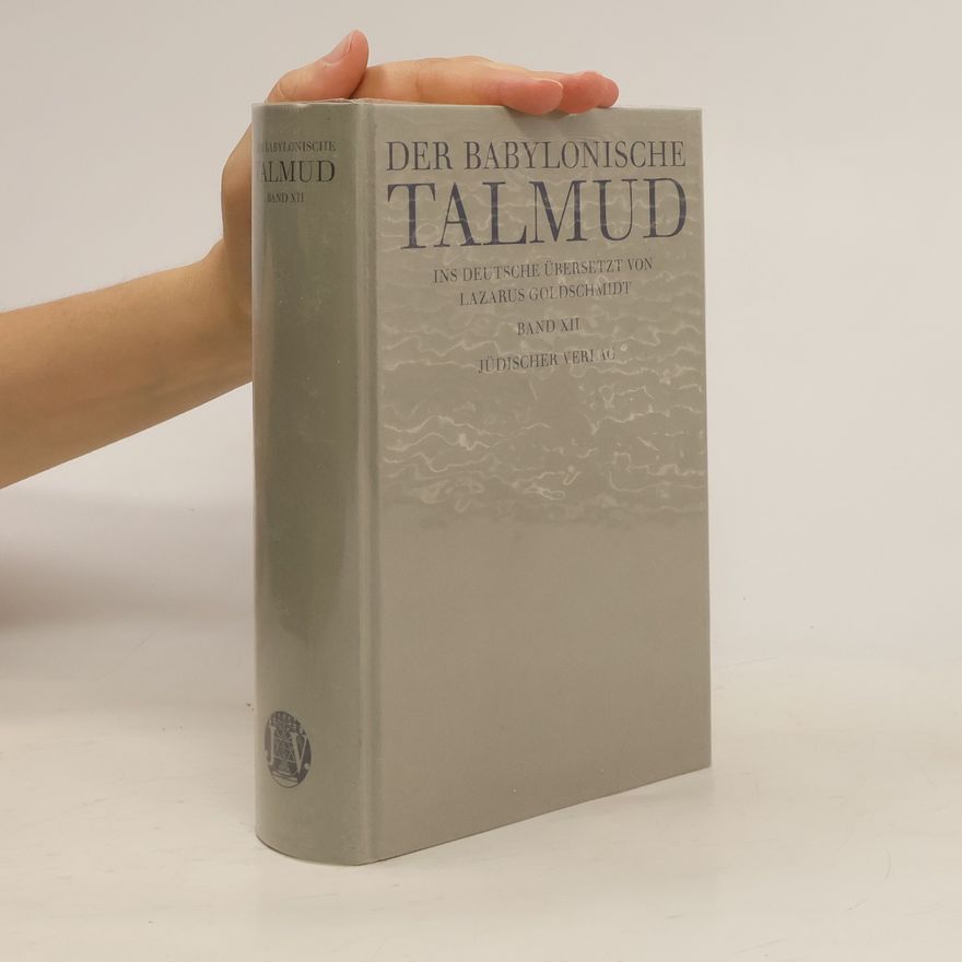 Lazarus Goldschmidt Der Babylonische Talmud XII