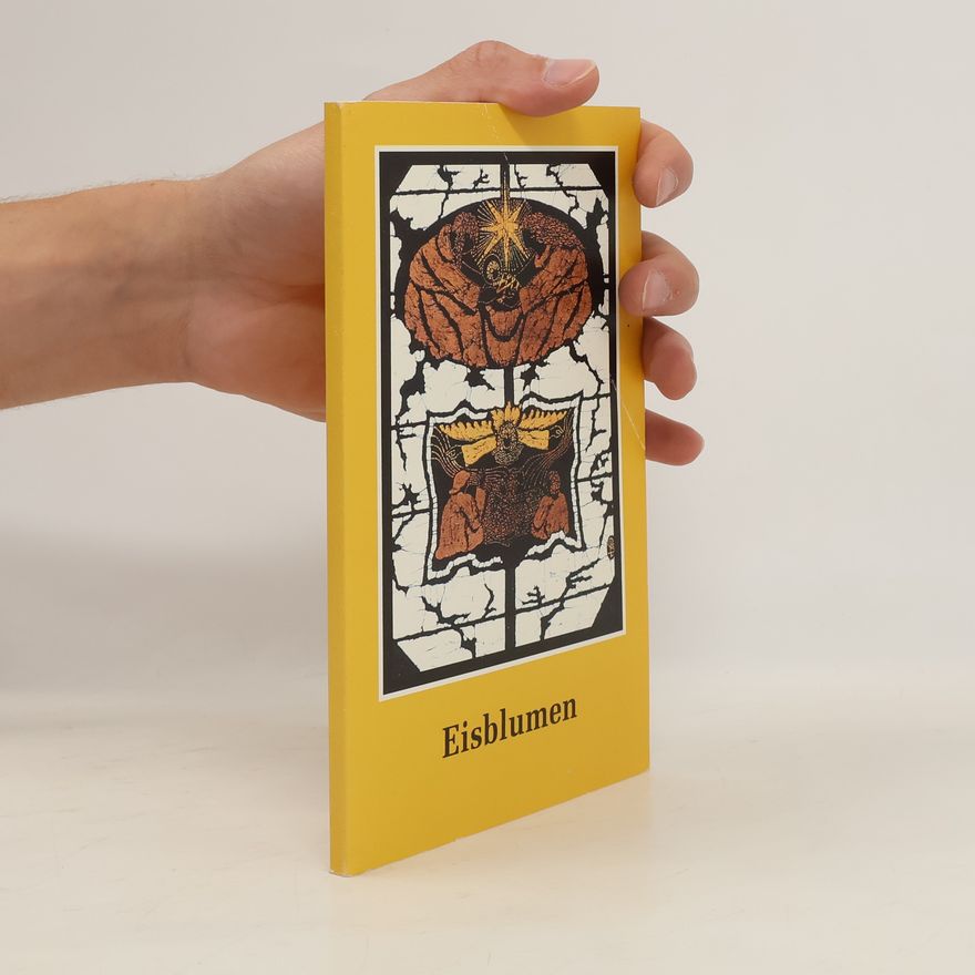 Autorenkollektiv Eisblumen