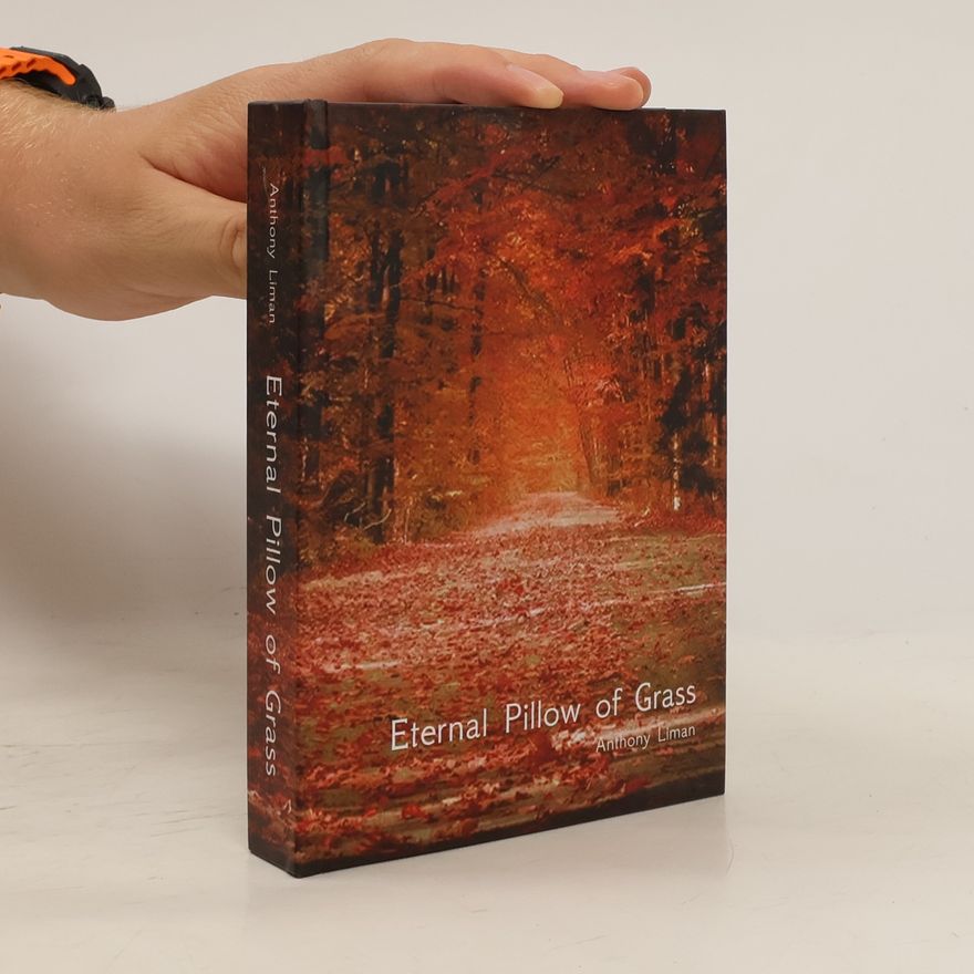 Anthony Liman Eternal Pillow of Grass