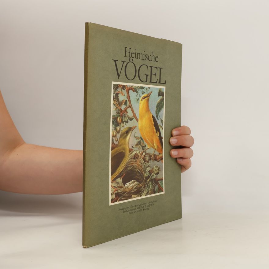 H. Körting Heimische Vögel