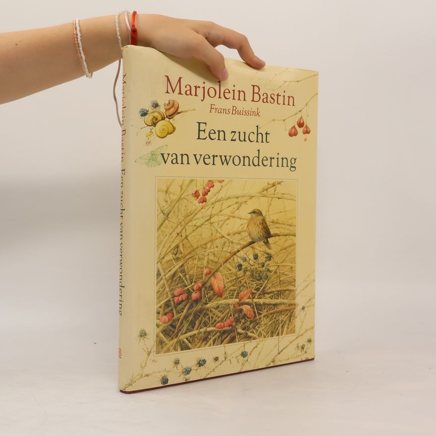Frans Buissink Een zucht van verwondering
