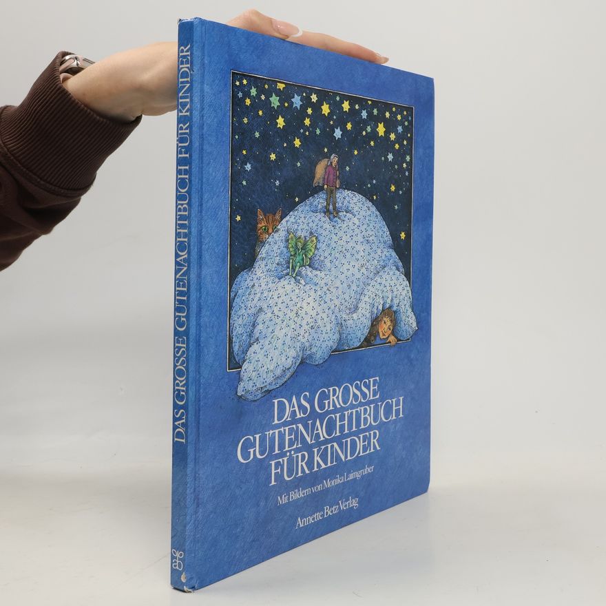 Kolektiv autorů Das grosse Gutenachtbuch für Kinder