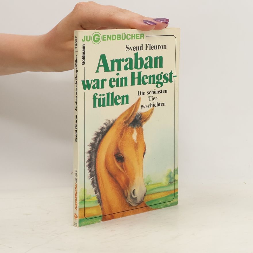 Svend Fleuron Arraban war ein Hengstfüllen