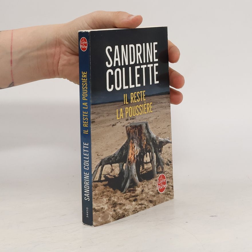 Sandrine Collette Il reste la poussière