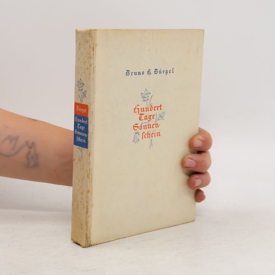 Bruno H. Bürgel Hundert Tage Sonnenschein. Ein Buch vom Sonntag und Alltag des Lebens