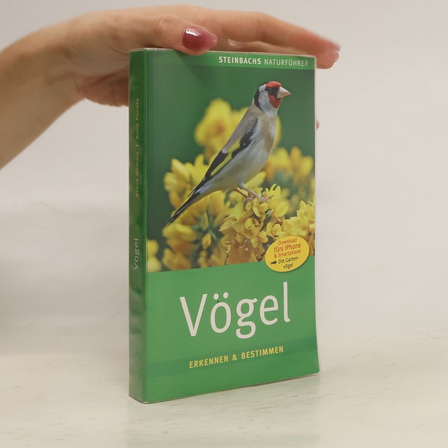 Autorenkollektiv Vögel