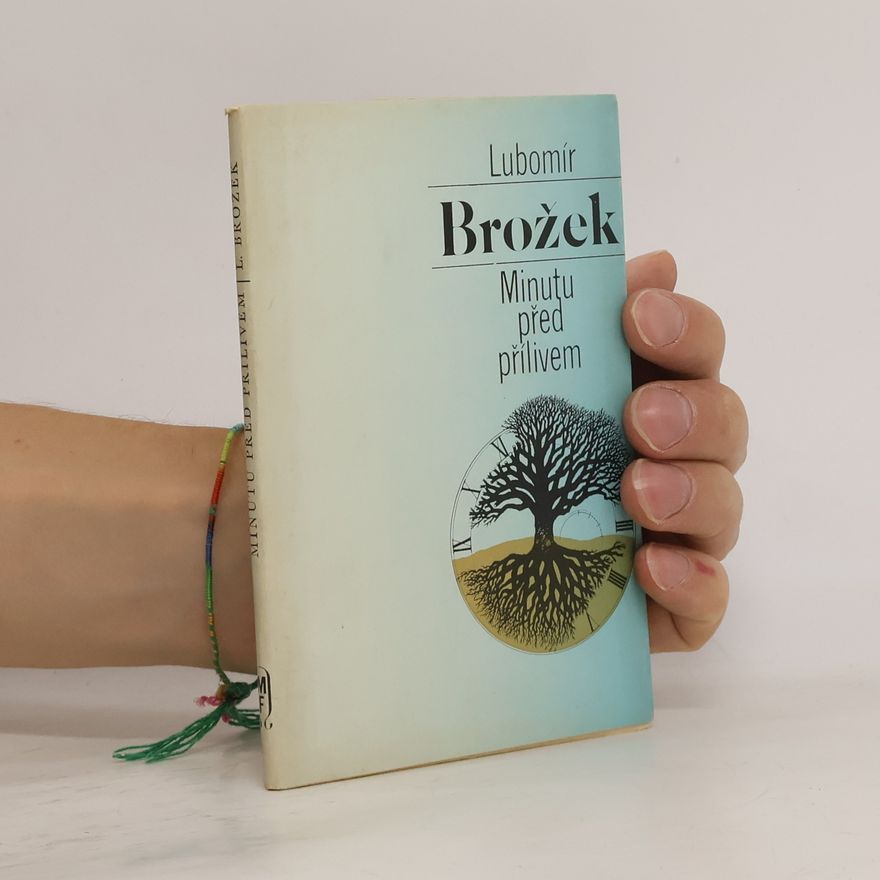 Lubomír Brožek Minutu před přílivem