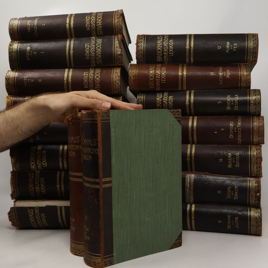 Autorenkollektiv Brockhaus' Konversations-Lexikon 1-17