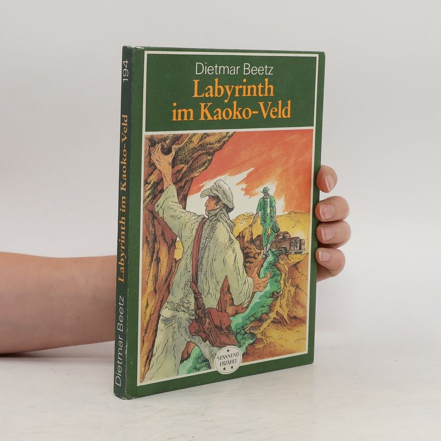 Dietmar Beetz Labyrinth im Kaoko-Veld