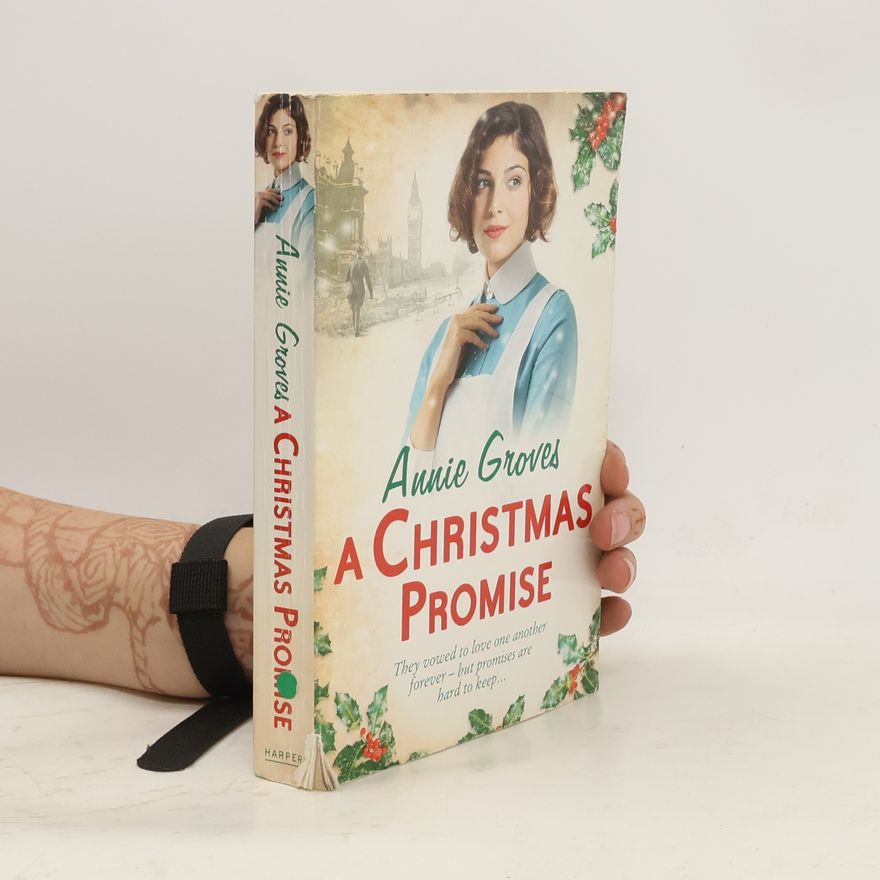 Annie Groves A Christmas Promise