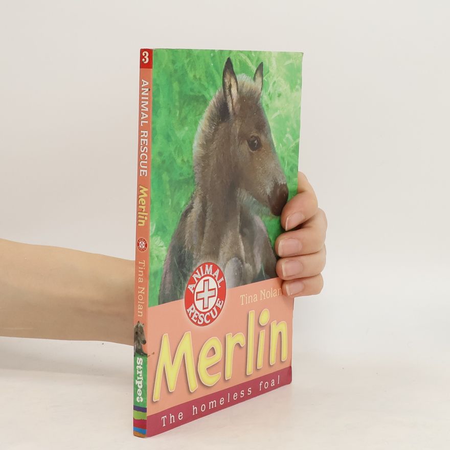 Tina Nolan Merlin. The Homeless Foal