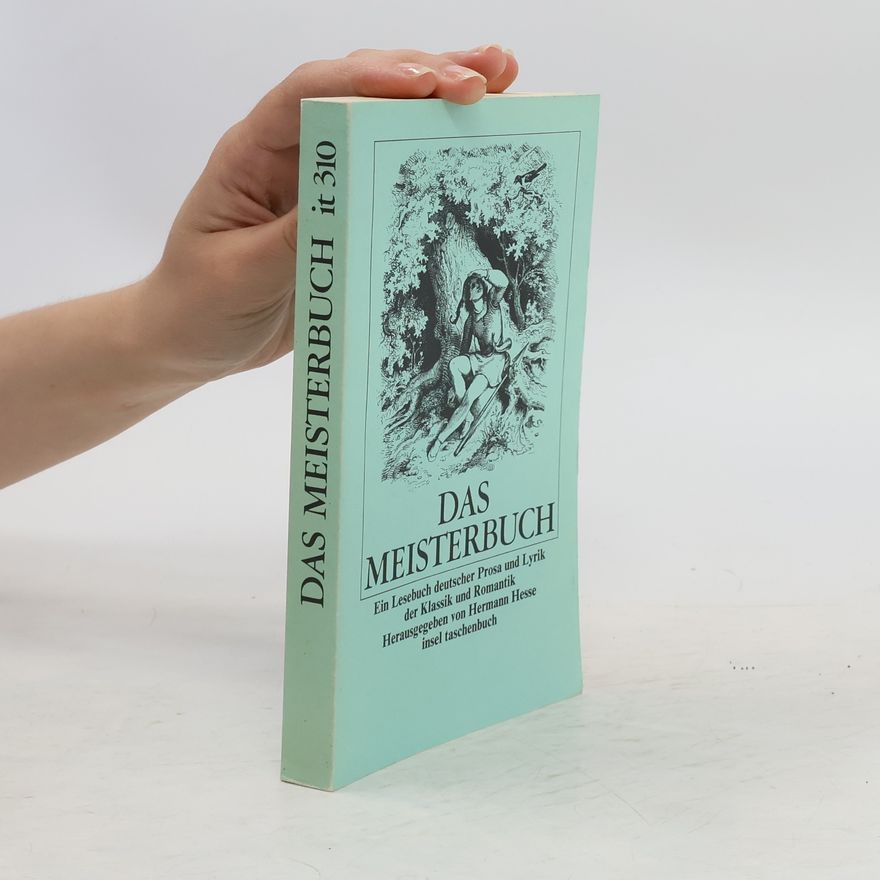Hermann Hesse Das Meisterbuch