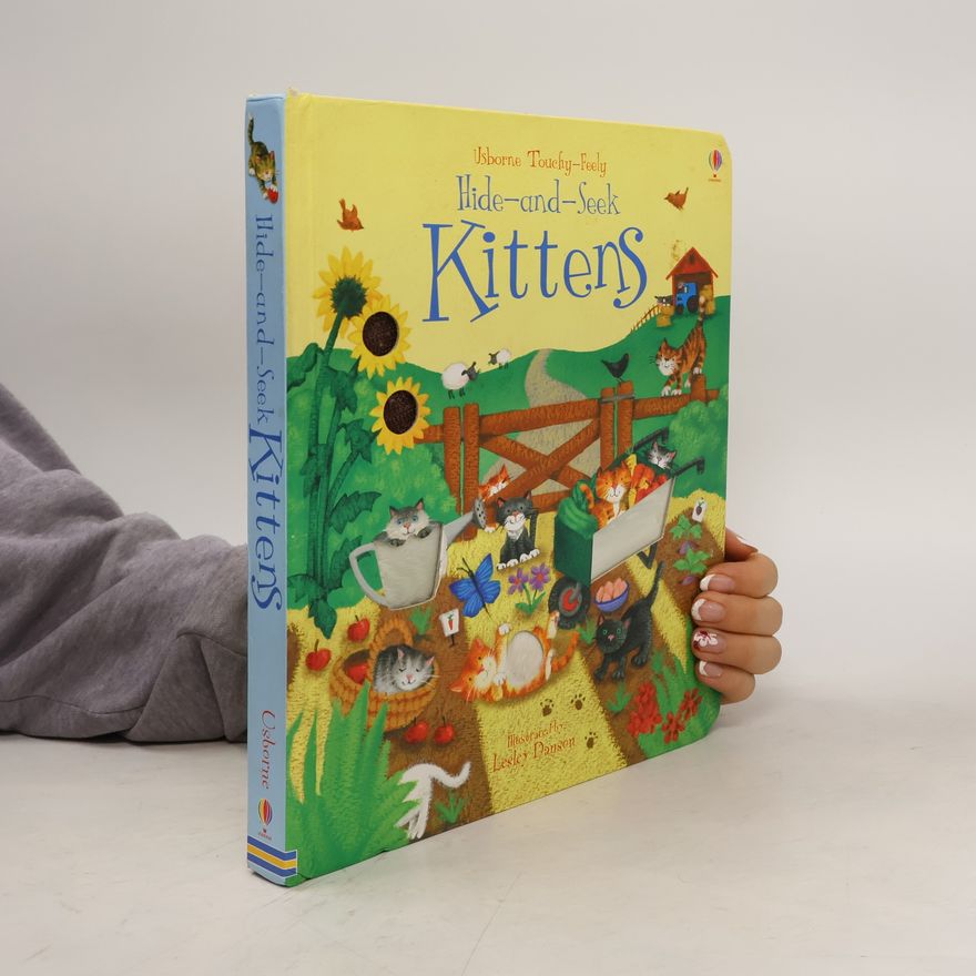 Fiona Watt Hide and Seek Kittens