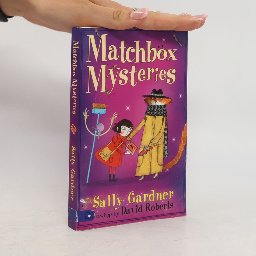Sally Gardner Matchbox Mysteries