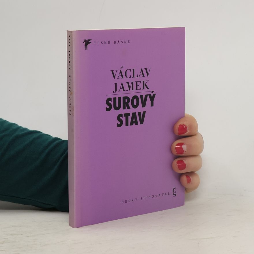 Václav Jamek Surový stav