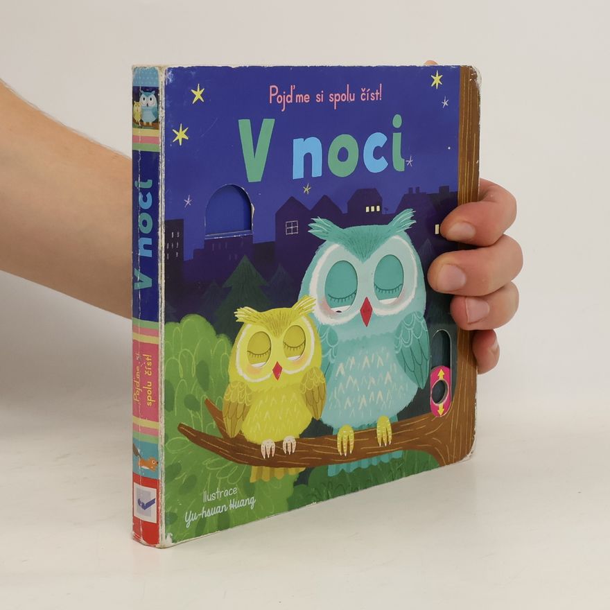 Josef Vyskočil V noci