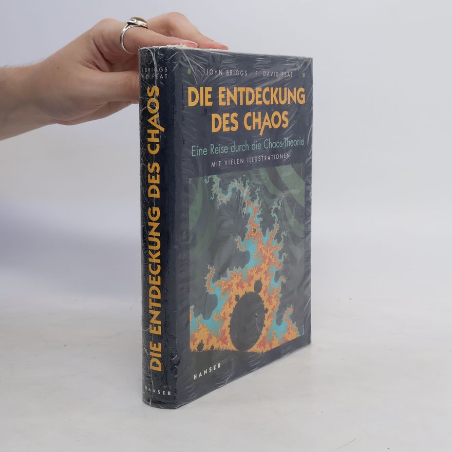 John P. Briggs Die Entdeckung des Chaos