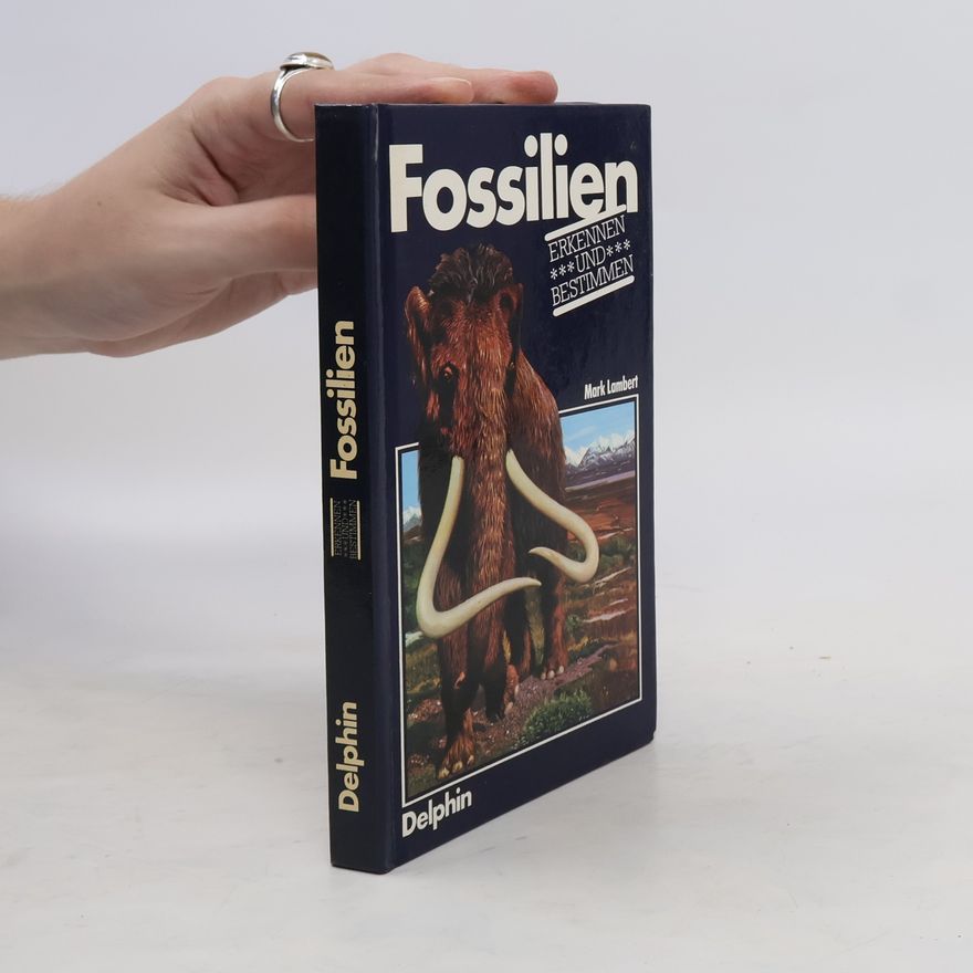 Mark Lambert Fossilien erkennen und bestimmen