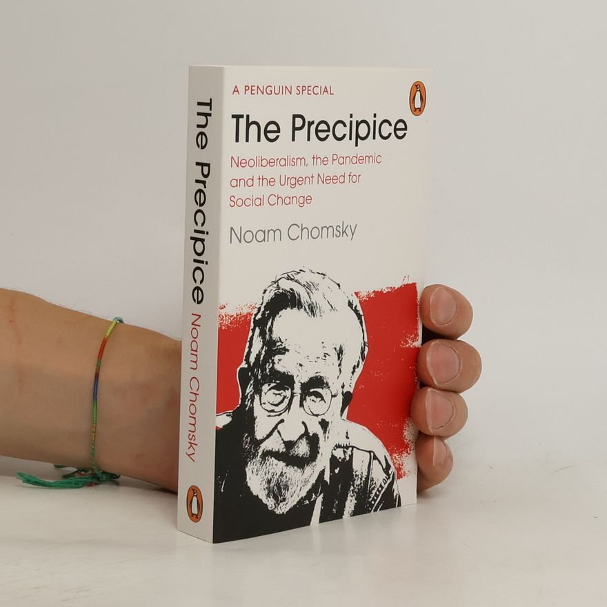 Noam Chomsky The Precipice