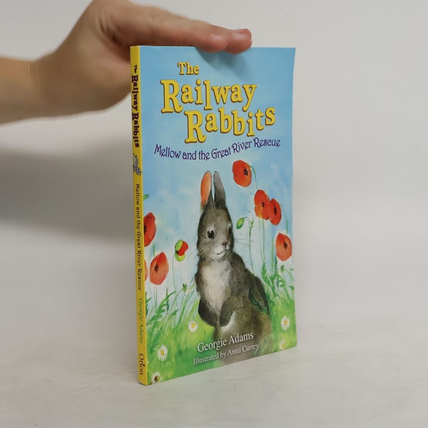 Georgie Adams The Railway Rabbits