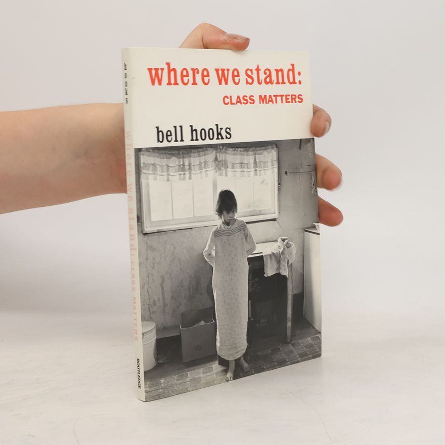 bell hooks Where We Stand