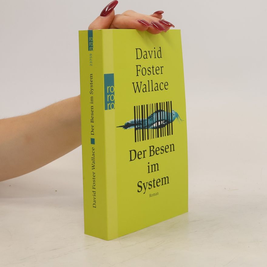 David Foster Wallace Der Besen im System