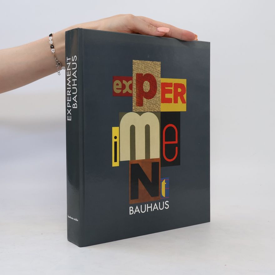 Kolektiv autorů Experiment Bauhaus