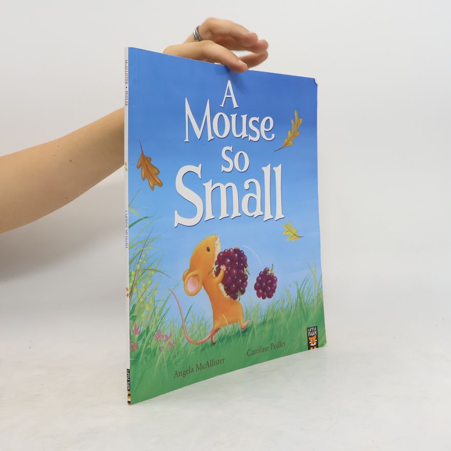 Angela McAllister A Mouse So Small