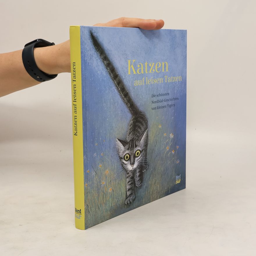 Kolektiv autorů Katzen auf leisen Tatzen